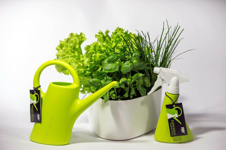 北欧デザインのジョウロを身近に取り入れる