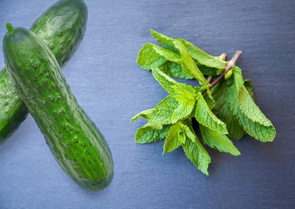 爽やかなミントとキュウリの香り