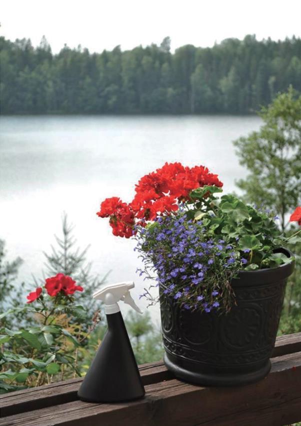 個性的なフォルムはインテリアとしてもピッタリ