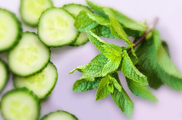 みずみずしいキュウリとさわやかで爽快感のあるミントを組み合わせた人気の香り