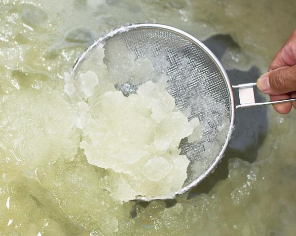 くすのきから抽出するカンフルパウダー