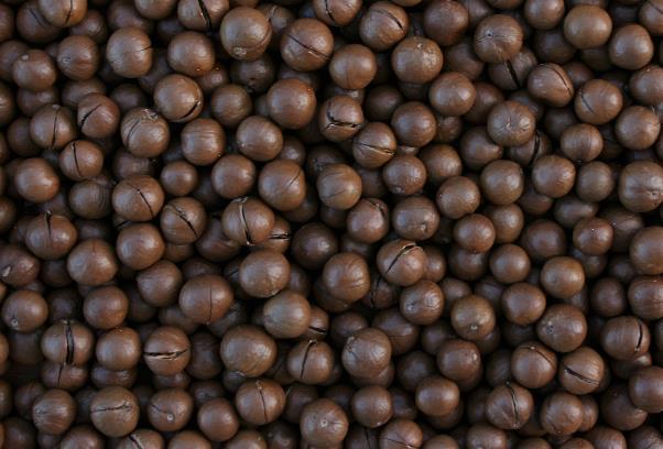 髪にハリ・コシを与える美容成分たっぷりのマカダミアオイル