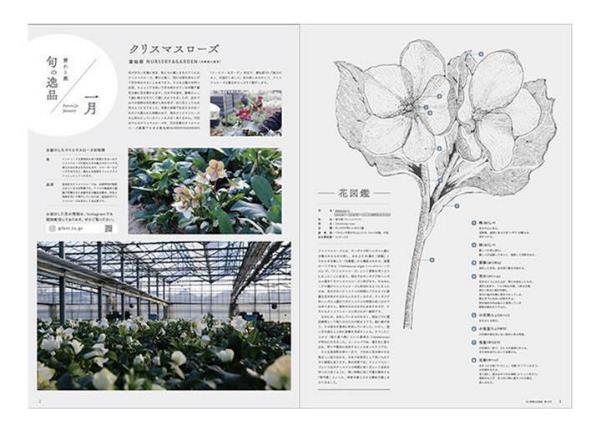 花と新聞の定期便