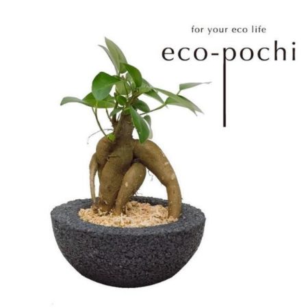 動きのあるデザインのわんMサイズ