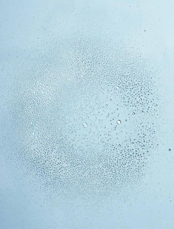 しっとりした肌に導きます