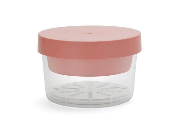 ヌードルランチやサラダにぴったり。水切りに便利なすのこ付き