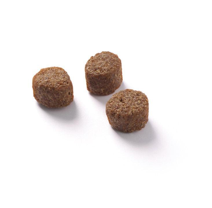 有機原材料で作る「Fokker Bio」社のこだわり