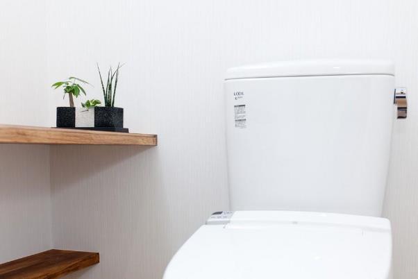 鉢の形がおしゃれでスマート