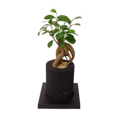 縦長でスマートなCYLINDER