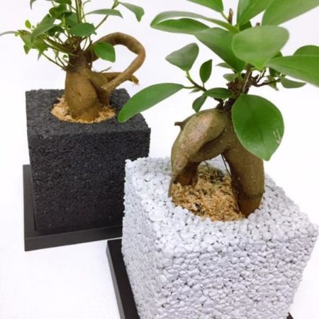 消臭機能の秘密は“器”