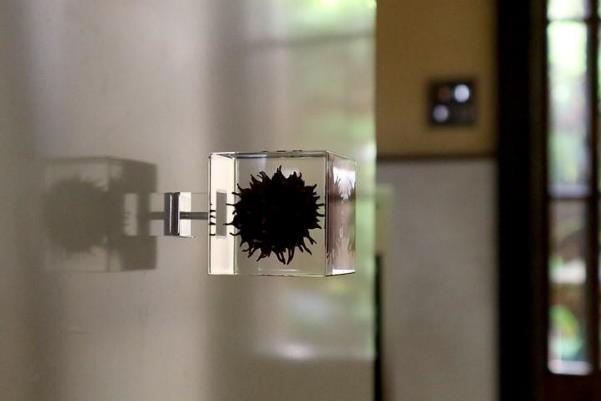 飾り方次第でいろんな表情を楽しめる