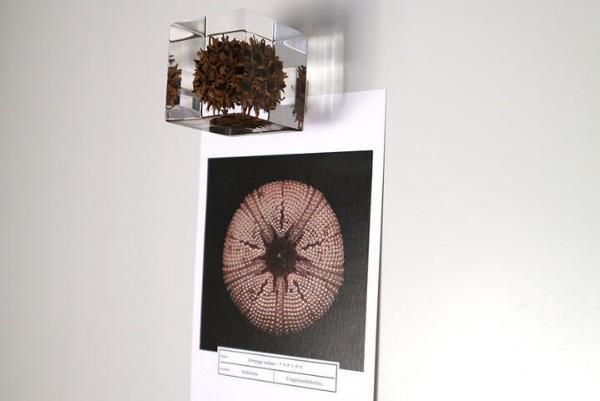 アート性の高いマグネットでメモも美しく