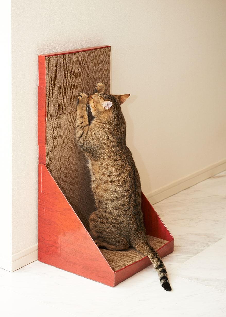 ガリガリウォールスクラッチャー