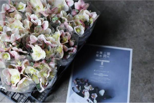 花を飾ることで心に潤いを