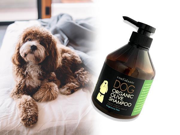 素材にこだわったオーガニックシャンプー