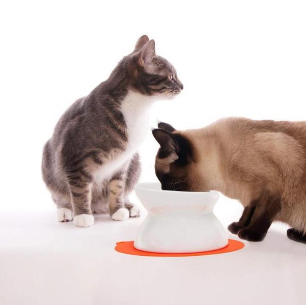 機能性にも優れたペットグッズ