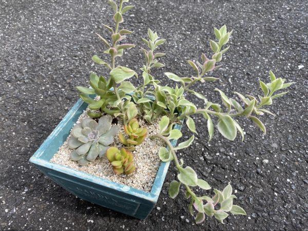 見栄えを整えて完成