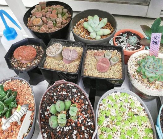 選び方にも気を付けて