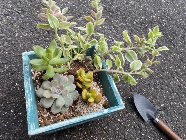 ひとまず配置終了