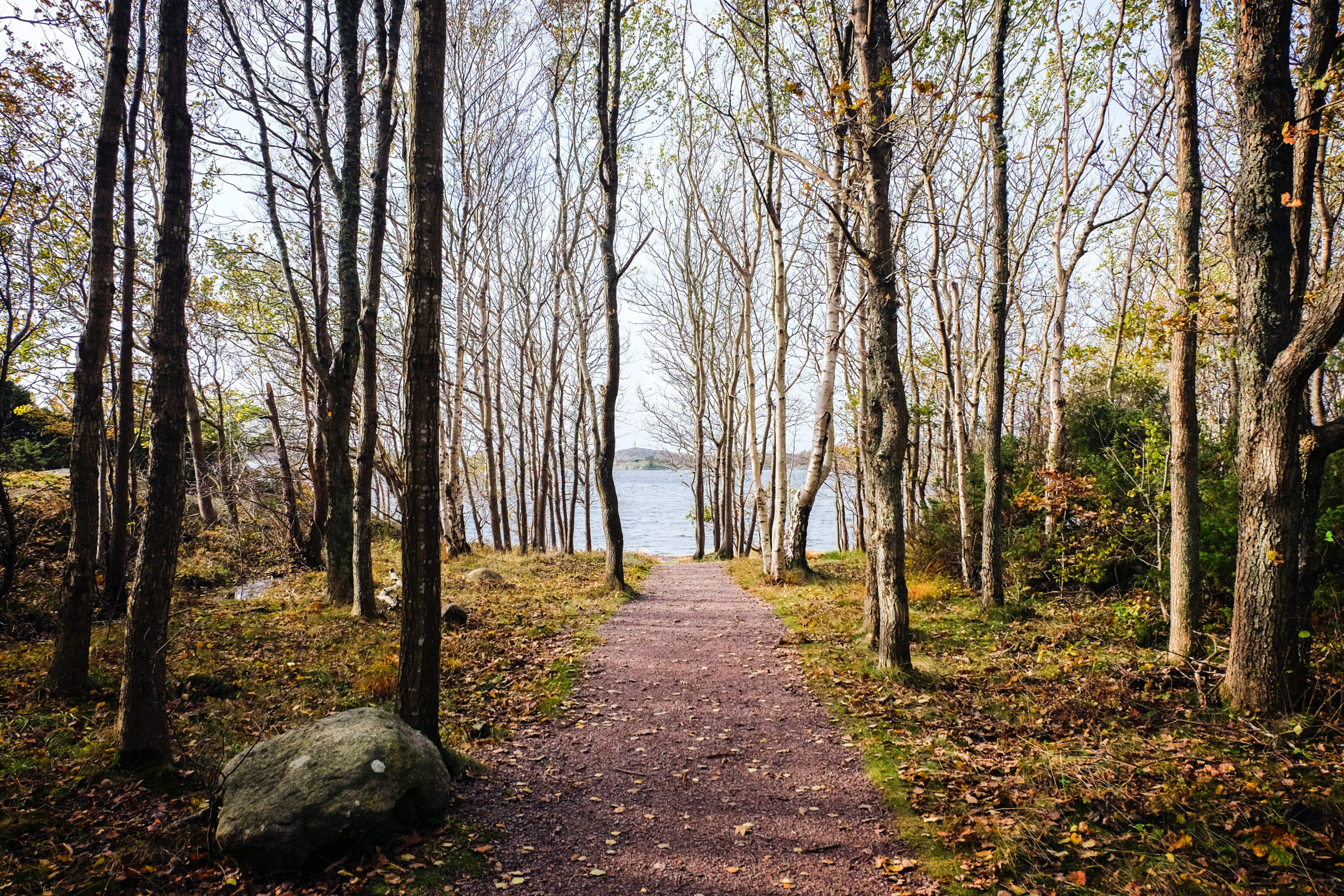 北欧の豊かな自然