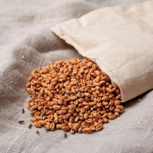 麦を使った温熱療法