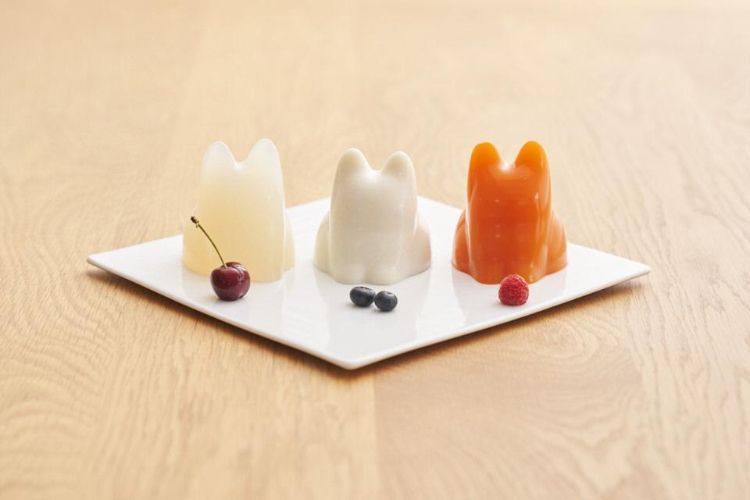 丈夫で扱いやすい