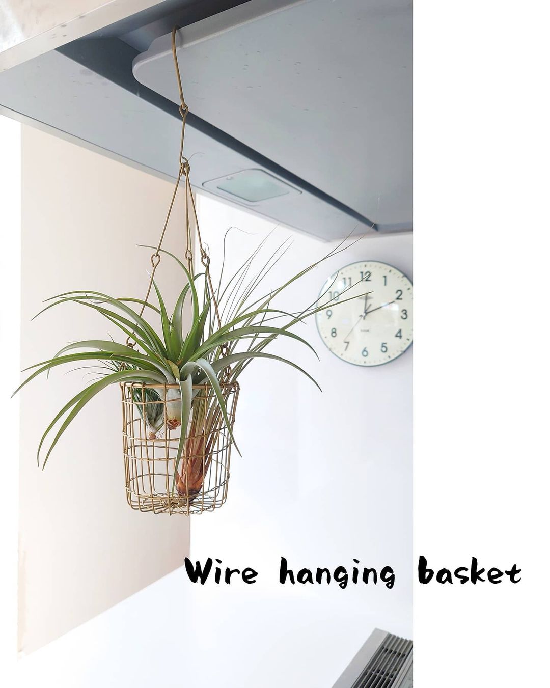 ワイヤーバスケット