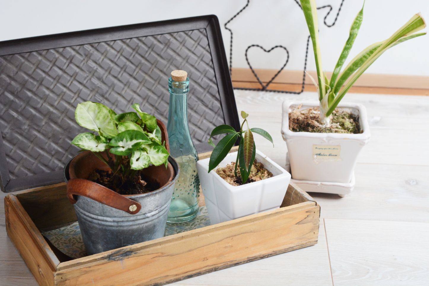 観葉植物をもっとおしゃれにしてくれる鉢カバー