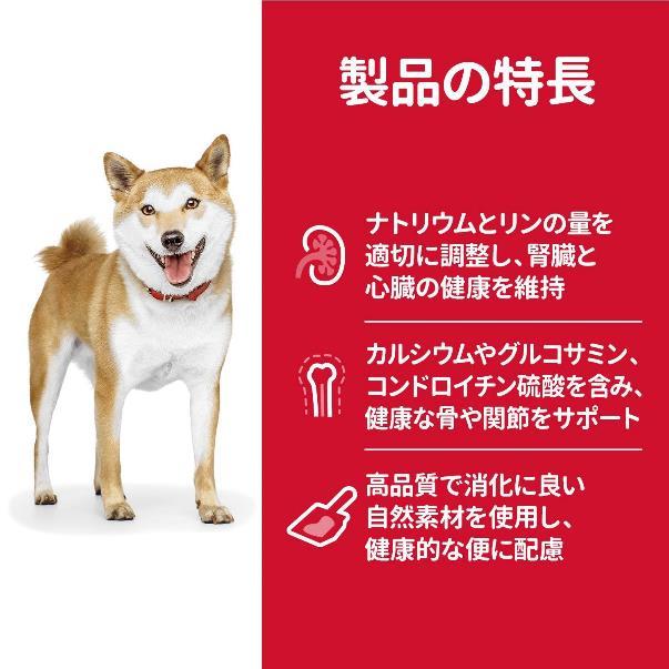 シニア犬の体調に配慮したフード