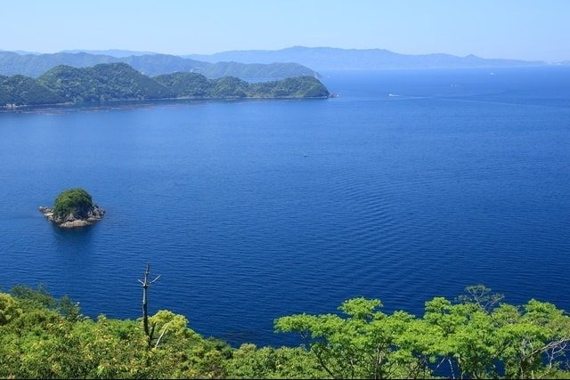 「うちパル！真珠取り出し体験キット」なら、自宅に居ながらにして真珠を貝から取り出す作業に挑戦