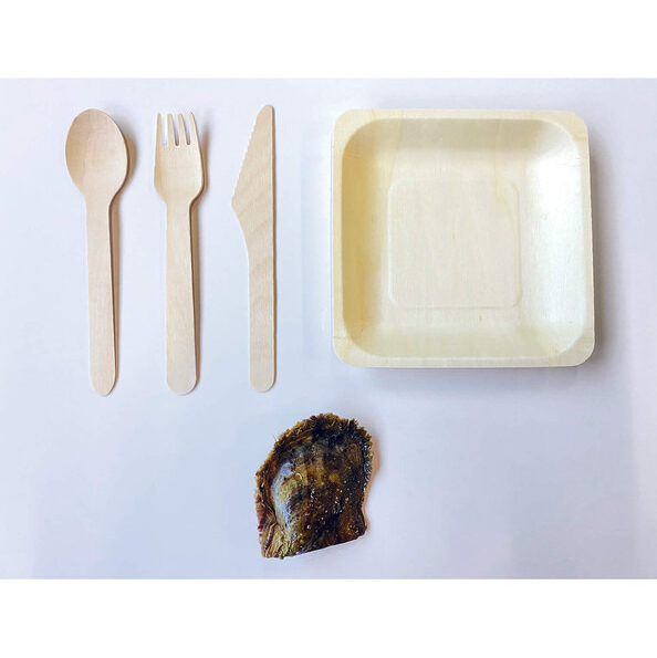 キットには、アコヤ貝、取り出しセット（木製のお皿、ナイフ、フォーク、スプーン）、アコヤ貝ができるまでのストーリーや真珠のマメ知識を記載した説明書が入っています。