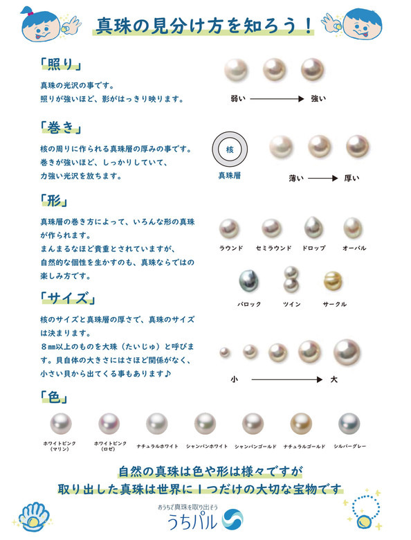真珠誕生のストーリーやマメ知識を勉強