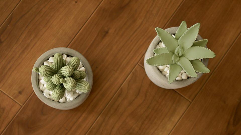 まるで本物のサボテン。