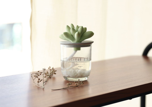 水耕栽培のサボテンをイメージさせるような見た目