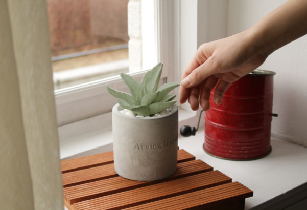 セメントカップに入ったかわいらしいデザイン