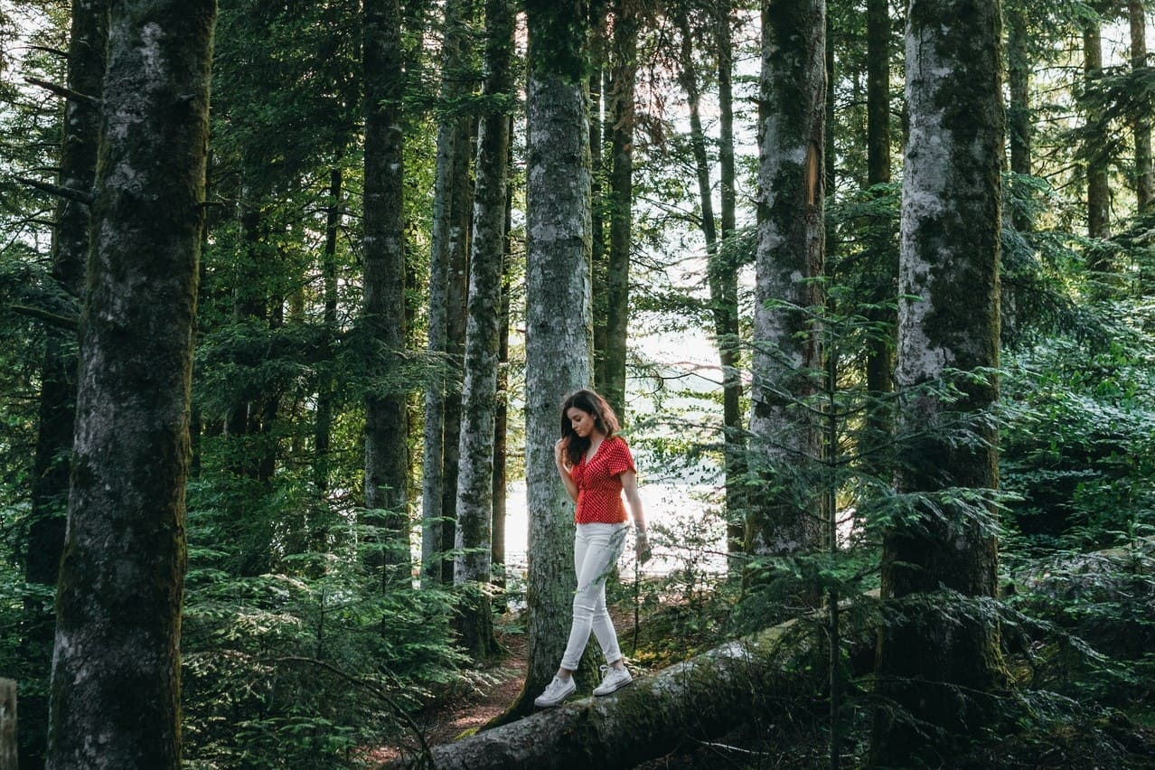 SDGs未来のために私たちが今できることを考えてみよう