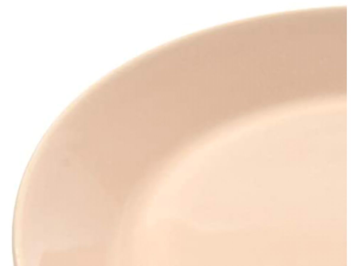 メインディッシュやワンプレートランチに。大きめ26cmプレート