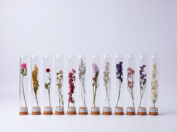 瓶に閉じ込めて自由自在にディスプレイ