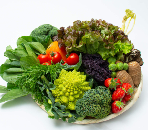 春野菜をより手軽に