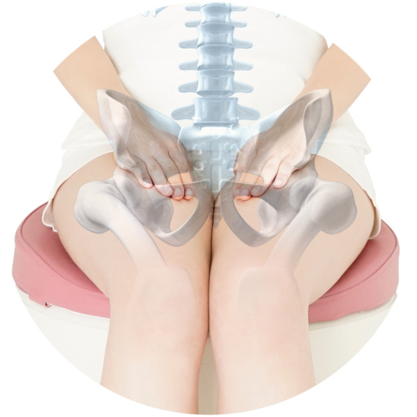 「3次元形状クッション」が体幹の土台から整える