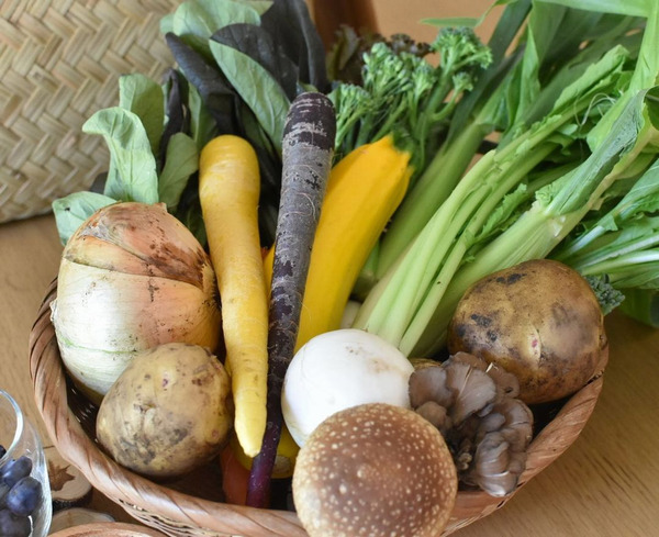 宅配を活用して買い物の手間を削減