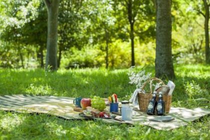 質感が新しいコンパクトな紙製ラグ