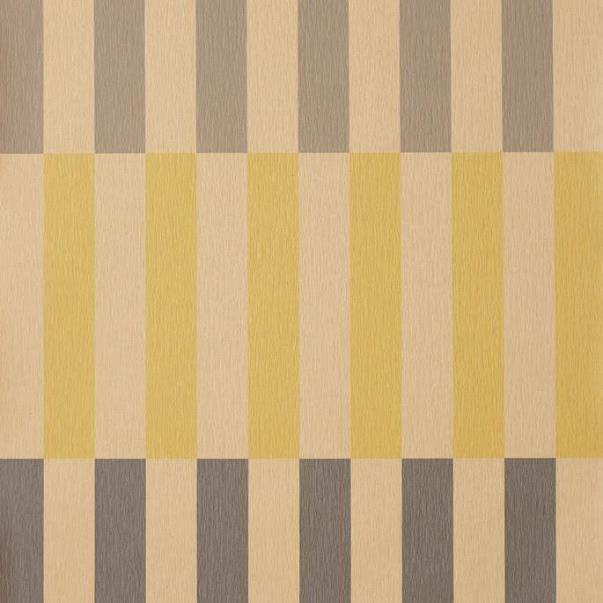 ボーダーイエロー