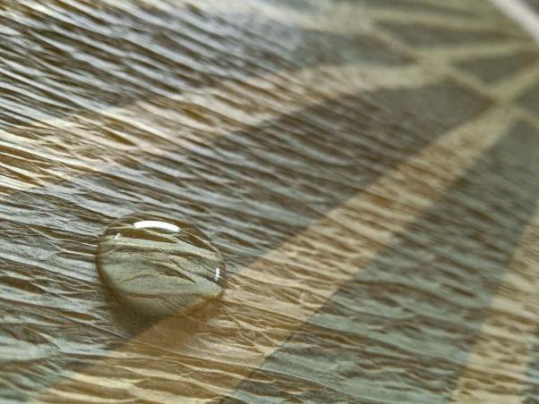 裏側も撥水加工が施された紙製ラグ