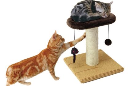 おもちゃつきの爪とぎ