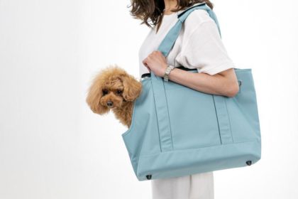 愛犬と一緒にお出かけ。どんなキャリーバッグを選ぶ