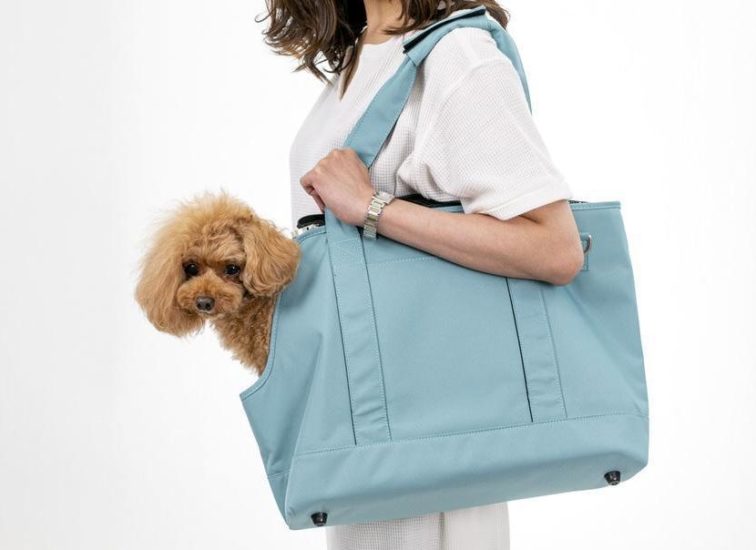 愛犬と一緒にお出かけ。どんなキャリーバッグを選ぶ