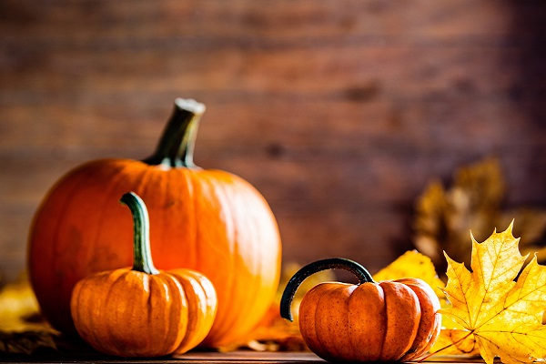 ハロウィンを盛り上げる簡単料理