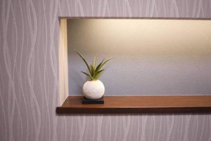 消臭できる観葉植物