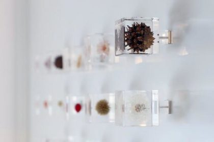 Sola cubeのマグネット